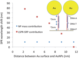 Graphical abstract: Contribution of gold nanoparticles to the signal amplification in surface plasmon resonance