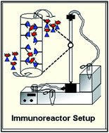 Graphical abstract: An immunoreactor-based competitive fluoroimmunoassay for monitoring staphylococcal enterotoxin B using bioconjugated quantum dots