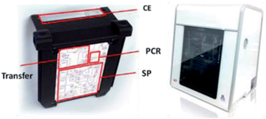 Graphical abstract: Optimization of multiplexed PCR on an integrated microfluidic forensic platform for rapid DNA analysis