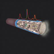 Graphical abstract: Recent developments and future possibilities for polymer monoliths in separation science