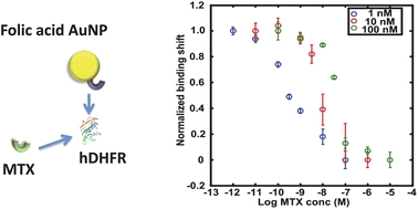 Graphical abstract: Monitoring methotrexate in clinical samples from cancer patients during chemotherapy with a LSPR-based competitive sensor