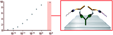 Graphical abstract: A universal immuno-PCR platform for comparative and ultrasensitive quantification of dual affinity-tagged proteins in complex matrices