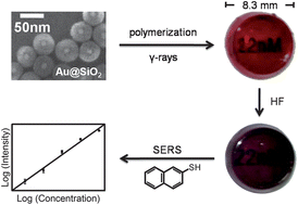 Graphical abstract: Au nanoparticle-encapsulated hydrogel substrates for robust and reproducible SERS measurement