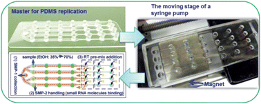 Graphical abstract: Automatic extraction and processing of small RNAs on a multi-well/multi-channel (M&M) chip