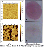 Graphical abstract: Rapid and highly selective dipchecking for cyanide ions in aqueous media