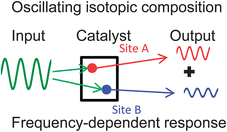 Graphical abstract: Determination of catalytic reaction mechanisms by isotopic frequency response