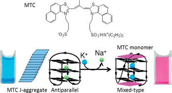 Graphical abstract: Visual detection of potassium by a cyanine dye supramolecular aggregate responsive to G-quadruplex motif transition