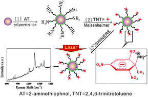Graphical abstract: Functionalized shell-isolated nanoparticle-enhanced Raman spectroscopy for selective detection of trinitrotoluene
