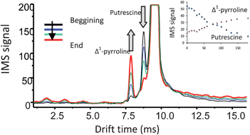 Graphical abstract: Ion mobility spectrometry for monitoring diamine oxidase activity