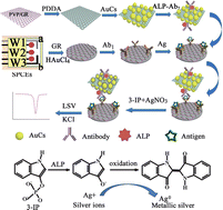 Graphical abstract: Disposable electrochemical immunosensor for simultaneous assay of a panel of breast cancer tumor markers