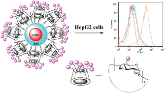 Graphical abstract: Glyco-β-cyclodextrin capped quantum dots: synthesis, cytotoxicity and optical detection of carbohydrate–protein interactions