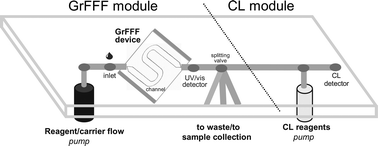 Graphical abstract: Gravitational field-flow fractionation integrated with chemiluminescence detection for a self-standing point-of-care compact device in bioanalysis