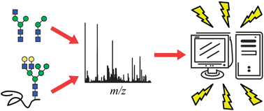 Graphical abstract: Software for automated interpretation of mass spectrometry data from glycans and glycopeptides