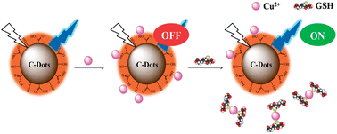 Graphical abstract: Microwave-assisted synthesis of carbon nanodots through an eggshell membrane and their fluorescent application