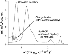 Graphical abstract: Probing the conformational behavior of a monoclonal antibody with surfactant affinity capillary electrophoresis (SurfACE)