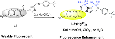 Graphical abstract: Design and synthesis of triazolyl coumarins as Hg2+ selective fluorescent chemosensors