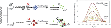 Graphical abstract: A sensitive strategy for label-free and time-resolved fluorescence assay of thrombin using Tb-complex and unmodified gold nanoparticles