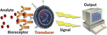 Graphical abstract: Liposomes in biosensors