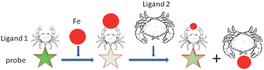 Graphical abstract: A novel fluorescence method for determination of pFe3+