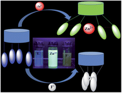 Graphical abstract: An ICT based “turn on/off” quinoline armed calix[4]arene fluoroionophore: its sensing efficiency towards fluoride from waste water and Zn2+ from blood serum