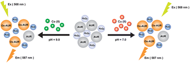 Graphical abstract: A highly selective and sensitive fluorescence assay for determination of copper(ii) and cobalt(ii) ions in environmental water and toner samples