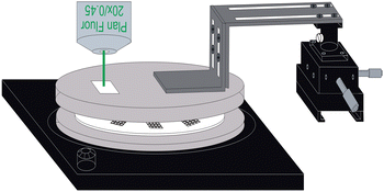 Graphical abstract: Laser-based directed release of array elements for efficient collection into targeted microwells