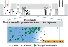 Graphical abstract: Ion concentration polarization in a single and open microchannel induced by a surface-patterned perm-selective film