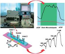 Graphical abstract: Biofuel cell-based self-powered biogenerators for online continuous monitoring of neurochemicals in rat brain