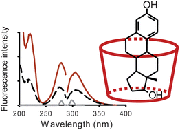 Graphical abstract: Spectrofluorimetric study of estrogen–cyclodextrin inclusion complexes in aqueous systems