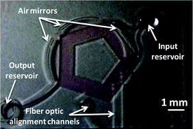 Graphical abstract: PDMS based photonic lab-on-a-chip for the selective optical detection of heavy metal ions