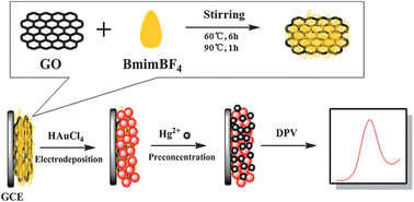 Graphical abstract: A functional graphene oxide-ionic liquid composites–gold nanoparticle sensing platform for ultrasensitive electrochemical detection of Hg2+