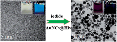 Graphical abstract: New colorimetric and fluorometric sensing strategy based on the anisotropic growth of histidine-mediated synthesis of gold nanoclusters for iodide-specific detection