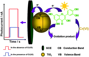 Graphical abstract: A subnanomole level photoelectrochemical sensing platform for hexavalent chromium based on its selective inhibition of quercetin oxidation