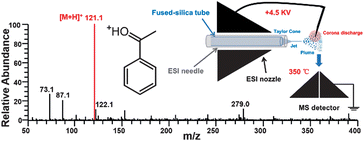 Graphical abstract: Compound coverage enhancement of electrospray ionization mass spectrometry through the addition of a homemade needle