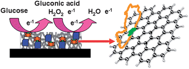 Graphical abstract: A novel platform for enhanced biosensing based on the synergy effects of electrospun polymer nanofibers and graphene oxides