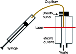 Graphical abstract: A simple system for the measurement of the distribution of activities of individual molecules of E. coli β-galactosidase