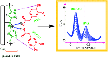 Graphical abstract: Simultaneous determination of two important dopamine metabolites at physiological pH by voltammetry