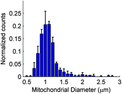 Graphical abstract: Rapid morphological characterization of isolated mitochondria using Brownian motion