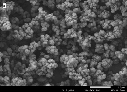 Graphical abstract: A simple and efficient method for preparation of a strong cation exchange monolith and its application to separation of HSA