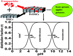 Graphical abstract: Electrochemical behavior of 6-benzylaminopurine and its detection based on Pt/ordered mesoporous carbons modified electrode