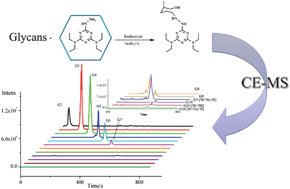 Graphical abstract: A new labelling reagent for glycans analysis by capillary electrophoresis-mass spectrometry