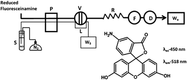 Graphical abstract: Flow injection analysis for nitric oxide quantification based on reduced fluoresceinamine
