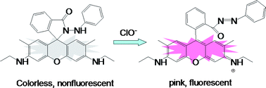 Graphical abstract: Highly sensitive fluorescent chemosensor for hypochlorite anion based on a novel irreversible ring-opening strategy