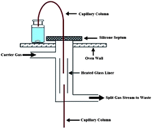 Graphical abstract: A simple and rapid method based on direct transfer of headspace vapor into the GC injector: application for determination of BTEX compounds in water and wastewater samples