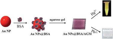 Graphical abstract: Detection and removal of mercury and lead ions by using gold nanoparticle-based gel membrane