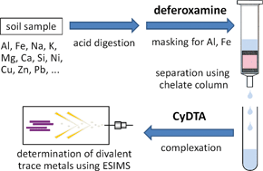 Graphical abstract: Determination of divalent trace metals in a soil sample using electrospray ionization mass spectrometry