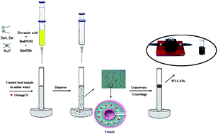 Graphical abstract: Supramolecular-based dispersive liquid–liquid microextraction in high salt concentrations