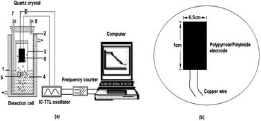 Graphical abstract: The construction and application of a molecular wire piezoelectric urease-producing bacteria sensor