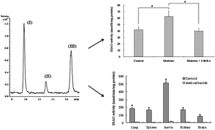 Graphical abstract: LC-MS method for determining the activity of semicarbazide-sensitive amine oxidase in rodents