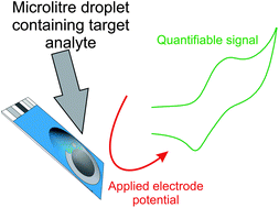 Graphical abstract: Platinum screen printed electrodes for the electroanalytical sensing of hydrazine and hydrogen peroxide